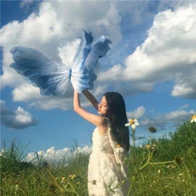 荒野真情
